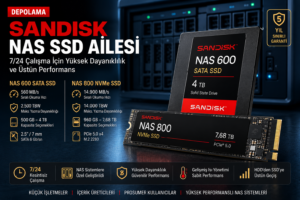 SanDisk NAS SSD?