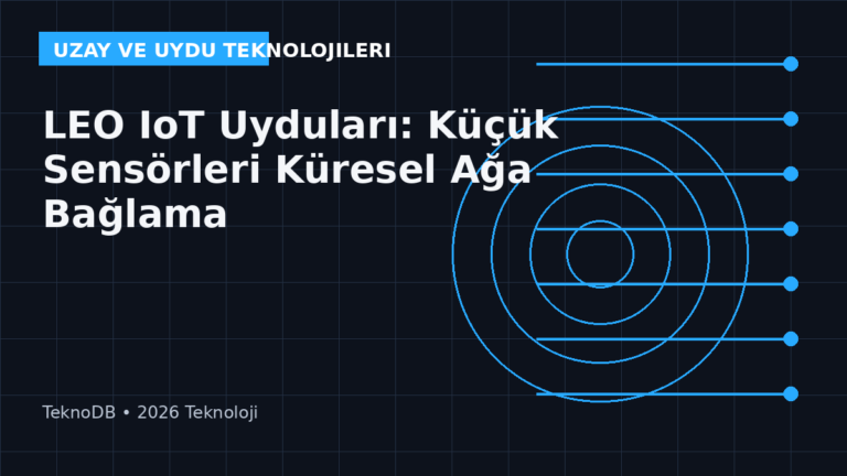 LEO IoT Uyduları: Küçük Sensörleri Küresel Ağa Bağlama